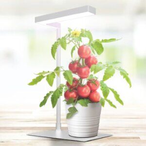 Feit Electric - LED Table Top Plant Grow Light